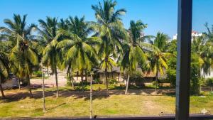 a view from a window of palm trees at The Beehive in Bambalapitiya