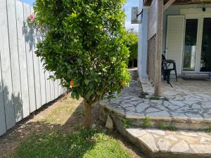 an orange tree on the side of a house at Little Blue House in Sidari +29 photos