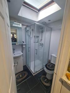 a bathroom with a shower and a toilet at 1 Bedroom studio in Datchet