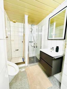 a bathroom with a sink and a shower and a toilet at Ferienwohnung Südtor in Geisingen +9 photos