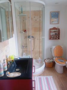 a bathroom with a shower and a sink and a toilet at La Détente in Rinxent
