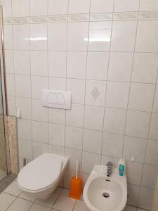 a small bathroom with a toilet and a sink at Casa Ines in Bellinzona