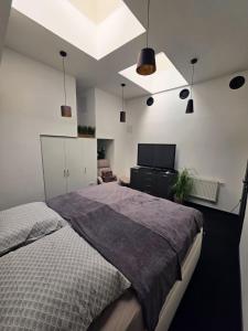 a bedroom with a large bed and a tv at Centrál apartmán in Zvolen +11 photos