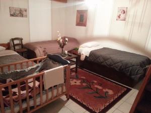 Fotografie z fotogalerie ubytování Theanos House v destinaci Pigi