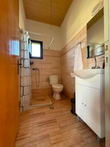 a bathroom with a toilet and a sink and a shower at Dimosthenis Apartments in Agios Georgios