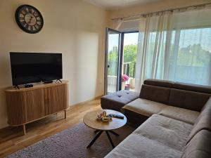 a living room with a couch and a tv at Elena Residence 15min from Belgrade in Pančevo