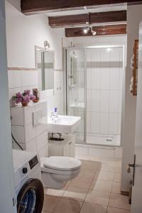 a bathroom with a toilet and a sink and a shower at Reethaus Beusloe I in Beusloe +38 photos