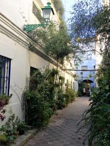 セビリアにあるCasas de Sevilla - Apartamento Puente de Trianaの建物脇の植物の並木