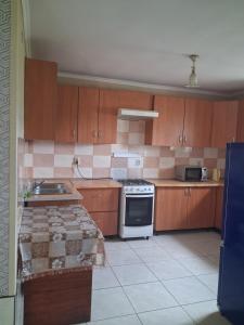 a kitchen with wooden cabinets and a stove top oven at Сонячний in Slavske +9 photos