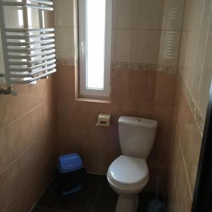 a small bathroom with a toilet and a window at Сонячний in Slavske