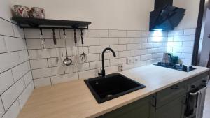 a kitchen with a sink and a counter top at Rupica 5 in Stara Novalja