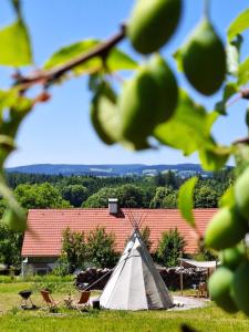 a white teepee in a field with a house at Cihelna 10 Teepee&Wine in Hlavňovice +22 photos