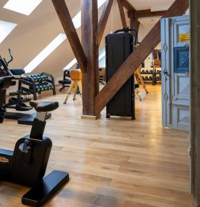 a gym with treadmills and exercise equipment in a building at Gulfhof bei Kletzsch Apartments & Ferienwohnungen in Großefehn Ostfriesland in Großefehn 