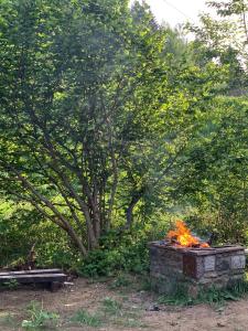 eine Feuerstelle in einem Garten mit einem Baum in der Unterkunft Chalet Angelo in Ponte di Legno