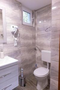a bathroom with a white toilet and a shower at Tisza Apartman Mártély in Mártély +27 photos