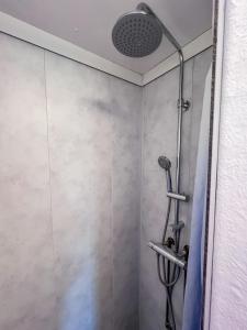 a shower with a glass door in a bathroom at Chalet Siësta in Anloo - Next to the forest in Anloo +16 photos