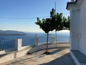 a tree on a balcony with a view of the ocean at Gikas Apartments Triple Studio Garden View A2 in Marmari