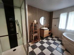 a bathroom with a shower and a sink and a mirror at Berges de la Suippe in Warmeriville