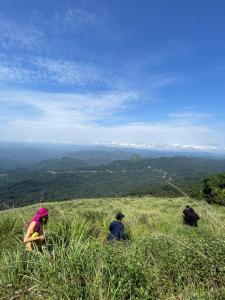 two people sitting in the grass on top of a hill at FREEDOM HOUSE, Munnar - A Backpackers Hostel in Munnar