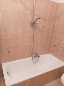 a shower with a bath tub in a bathroom at Il rifugio della Presolana in Castione della Presolana