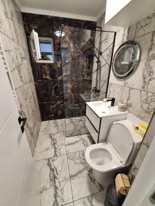 a bathroom with a toilet and a sink and a mirror at Nova Residence Craiova in Craiova
