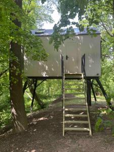 a tree house in the woods with a ladder at Posed v korunách stromů in Kutná Hora