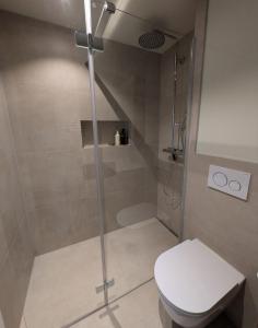 a bathroom with a shower and a toilet at Sunshine Suite in Ingenbohl +8 photos