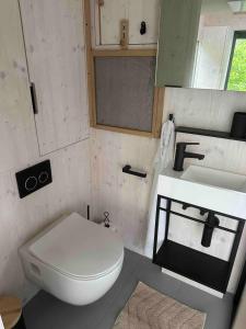 a bathroom with a white toilet and a sink at Posed v korunách stromů in Kutná Hora