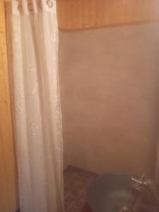a bathroom with a shower curtain and a toilet at Guest Room in Liviöjärvi