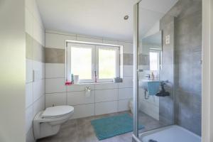 a bathroom with a toilet and a shower and a sink at Häusle Felix in Weier +26 photos