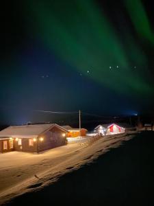 an image of the aurora dancing in the sky at Varangerfjord Stay in Varangerbotn