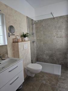 a bathroom with a toilet and a shower and a sink at Chambres d'hôte A Caserella, Maison de village rénovée avec vue sur mer in Valle-di-Campoloro