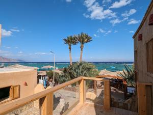 a balcony with a view of the beach and palm trees at Dive Urge in Dahab