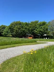 a gravel road next to a field of grass and flowers at Seaview Retreat - Sauna & Ice Bath in Clonakilty