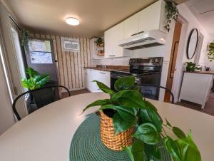 a kitchen with a table with a potted plant on it at Chalet #2 Waterfront with Spa, Fireplace Wifi & AC in Cap-Saint-Ignace
