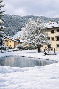 a tree in the snow next to a river at Chesa Tschierv - Celerina in Celerina