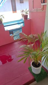 a group of plants in a room with red walls at Purayilhomestay in Varkala