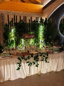 a table with plants on it in a room at Bucovina Exclusiv in Vama +98 photos