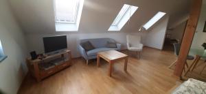 a living room with a chair and a tv and skylights at Ziegfried#Ziegenhof in Radebeul