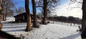 a cabin in a snow covered field with trees at Ziegfried#Ziegenhof in Radebeul +11 photos