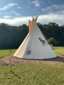 a tent with a dog on it in a field at Teepee u Vlčího potoka in Jičíněves