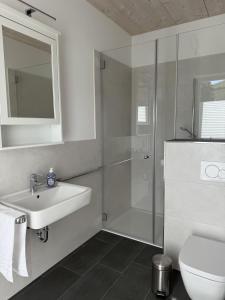 a bathroom with a shower and a sink and a toilet at Ferienhaus Licht-Blick 9 in Wiltingen +13 photos