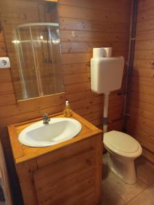 a bathroom with a sink and a toilet at Romantyk vendégház in Mánfa +3 photos
