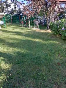 a yard with a large lawn with a tree in it at Brvnara i Apart Zlatiborski Mir in Zlatibor +38 photos