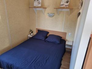 ein Schlafzimmer mit einem blauen Bett und zwei blauen Kissen in der Unterkunft Petit logement tranquille in Wanchy-Capval