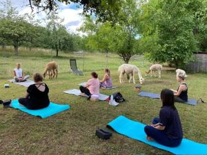 a group of women sitting in the grass doing yoga at Tiny House 47 in Egloffstein
