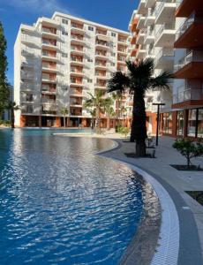 a swimming pool with a palm tree in front of a building at Beachfront Apartment with Pool Access by PikHost in Lezhë
