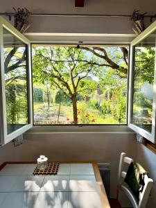 a window in a room with a table and a tree at Maisonnette près du lac in Léon