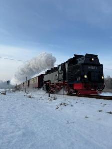 a train is coming down the tracks in the snow at Jasmin mit Sauna und Schwimmbad in Hohegeiß