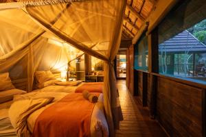a bedroom with two beds and a window at Kosi Forest Lodge in Manguzi